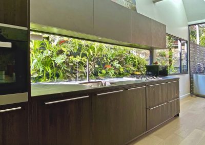 Bondi Kitchen Splashback vertical garden